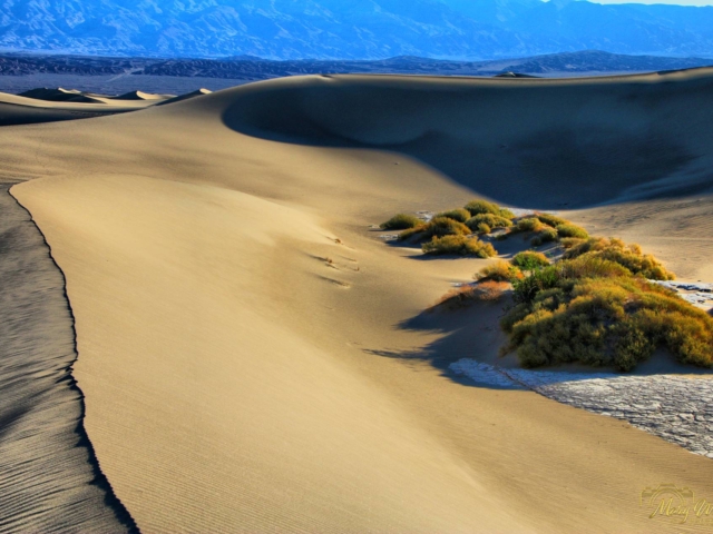 Death Valley National Park California
