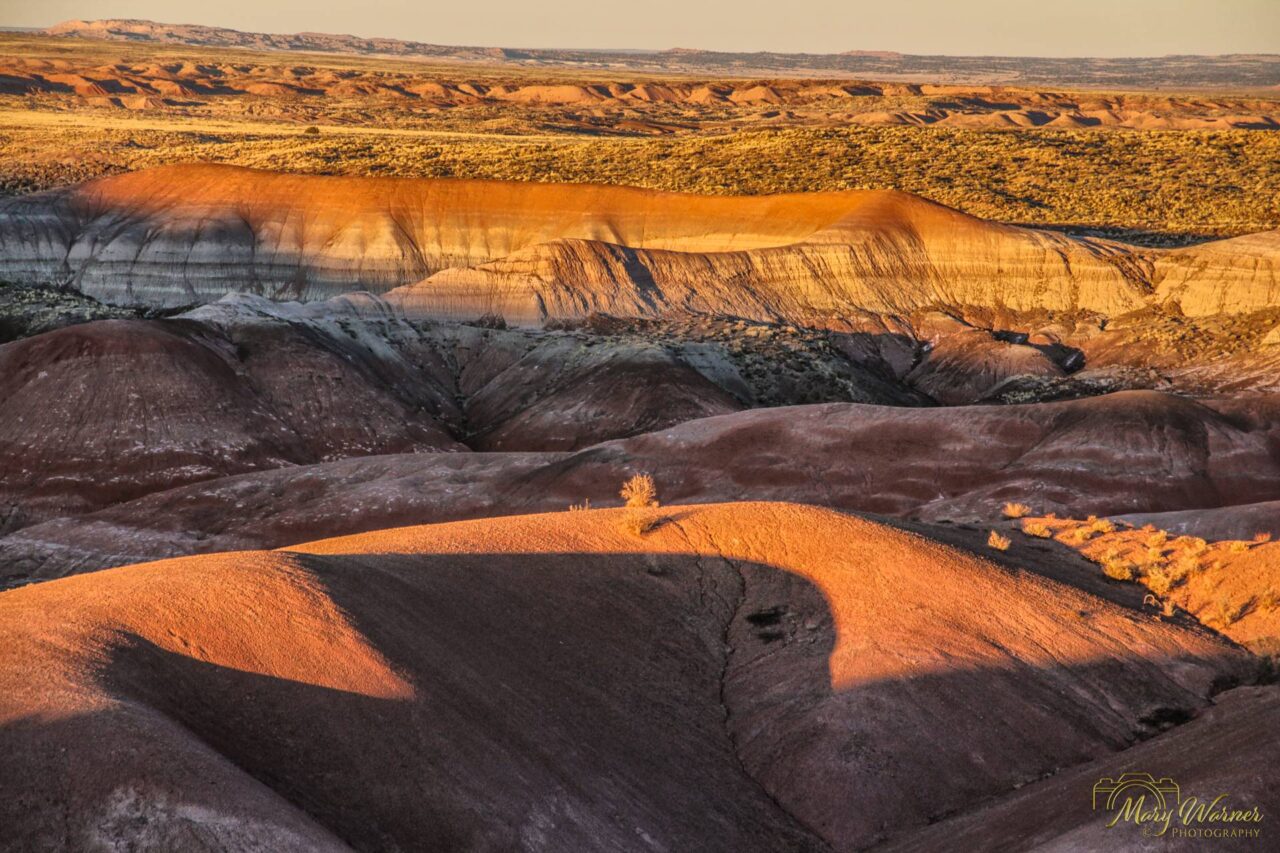 Painted Desert Petrified Forest National Park