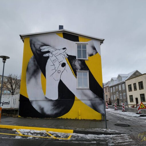 Reykjavik Graffiti