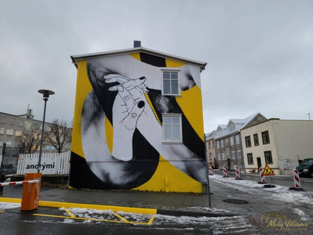 Reykjavik Graffiti