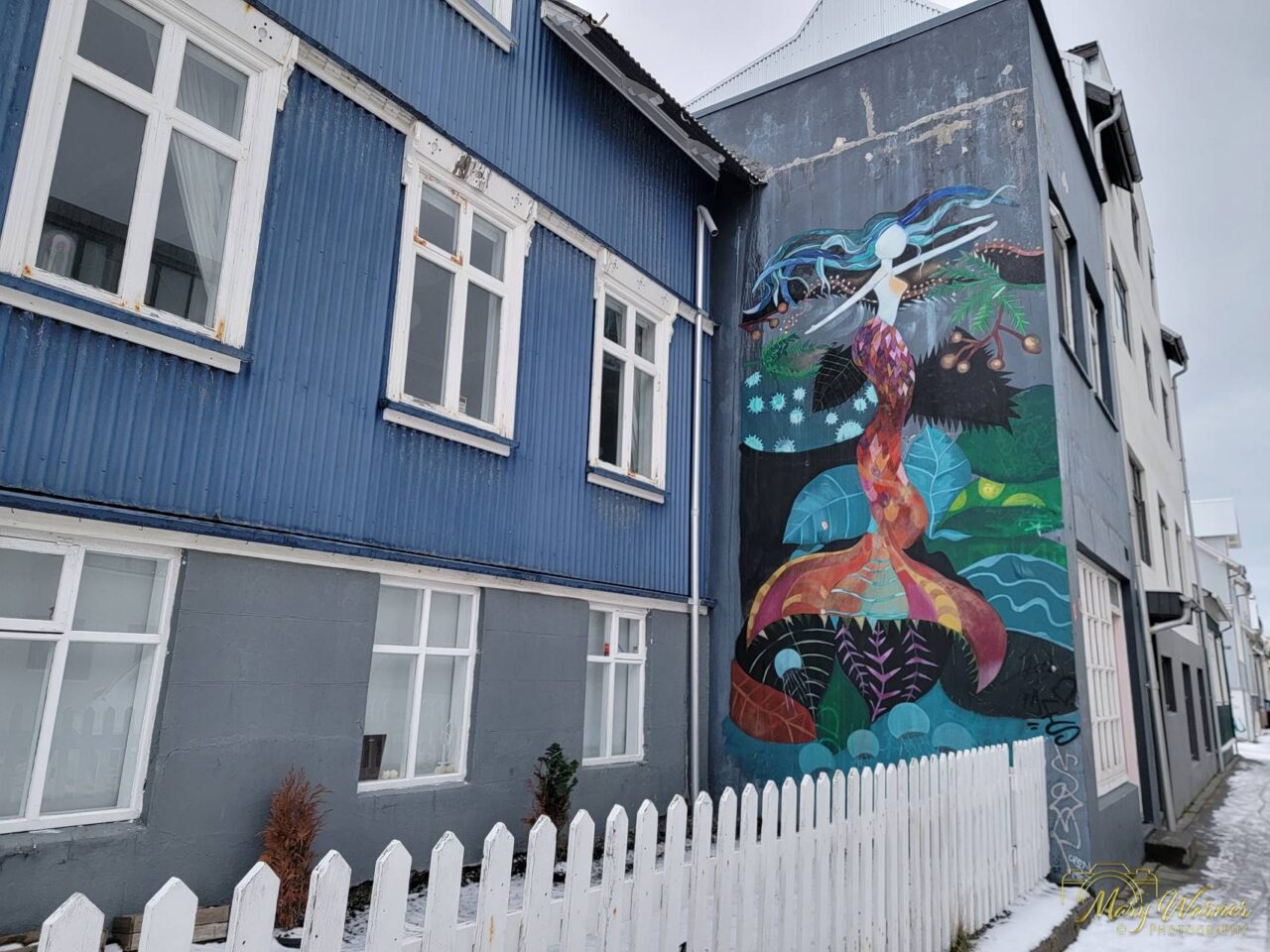 Reykjavik Graffiti