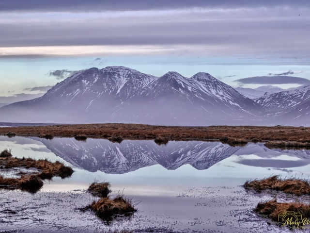 Hvalnes Nature Reserve East Iceland