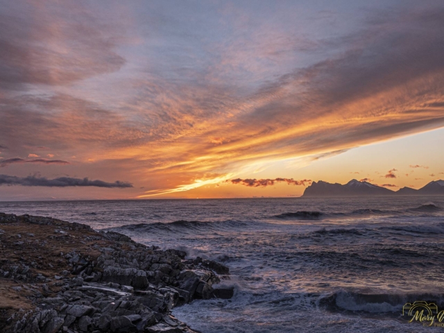 Hvalnes Nature Reserve East Iceland