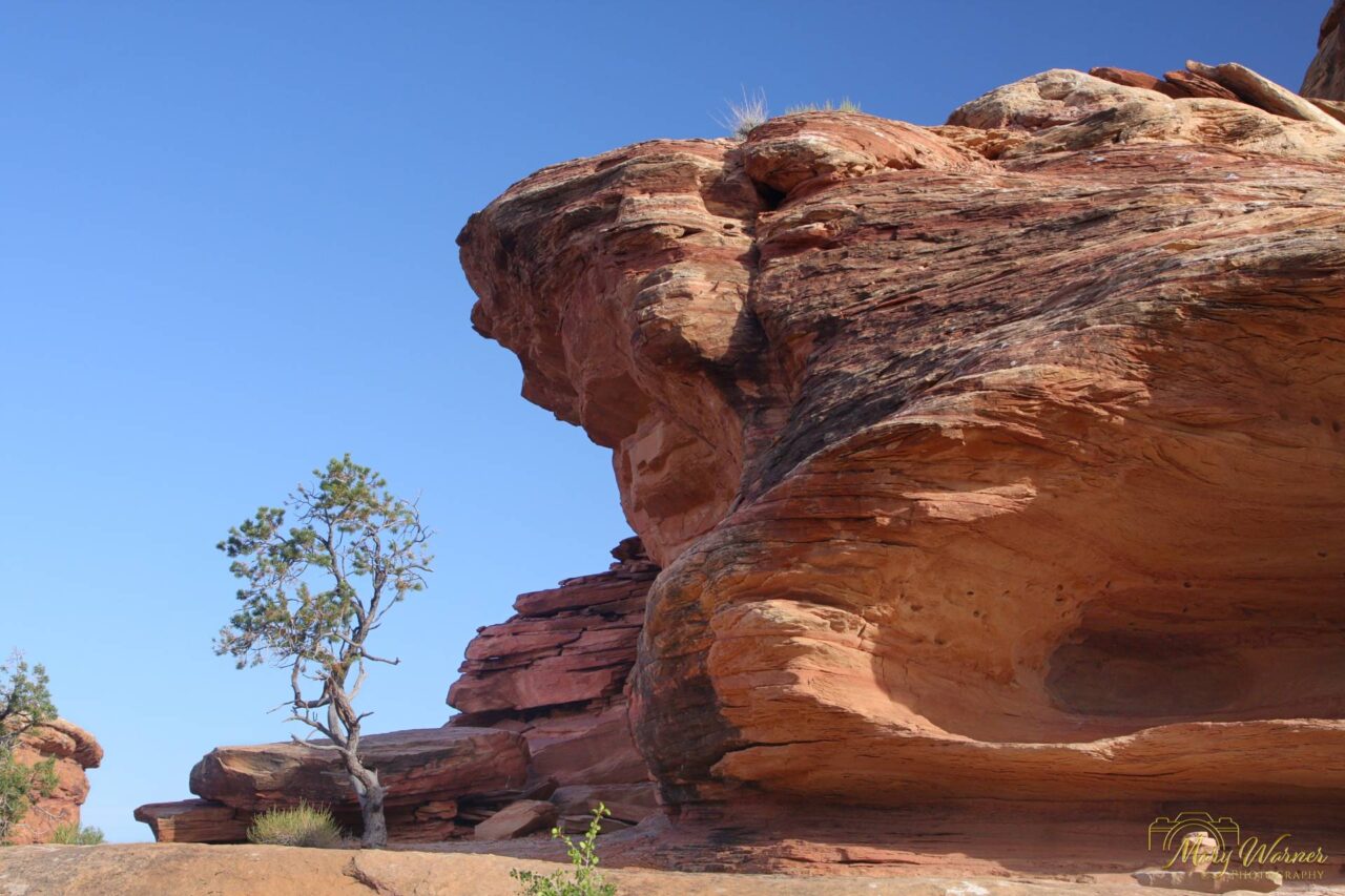 Needles District Canyonlands National Park Utah