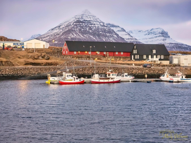 Sunrise Djupivogur Fishing Village Iceland