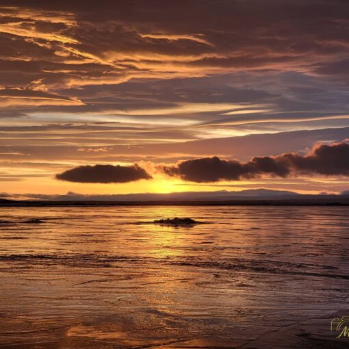 Sunset Lake Myvatn Iceland