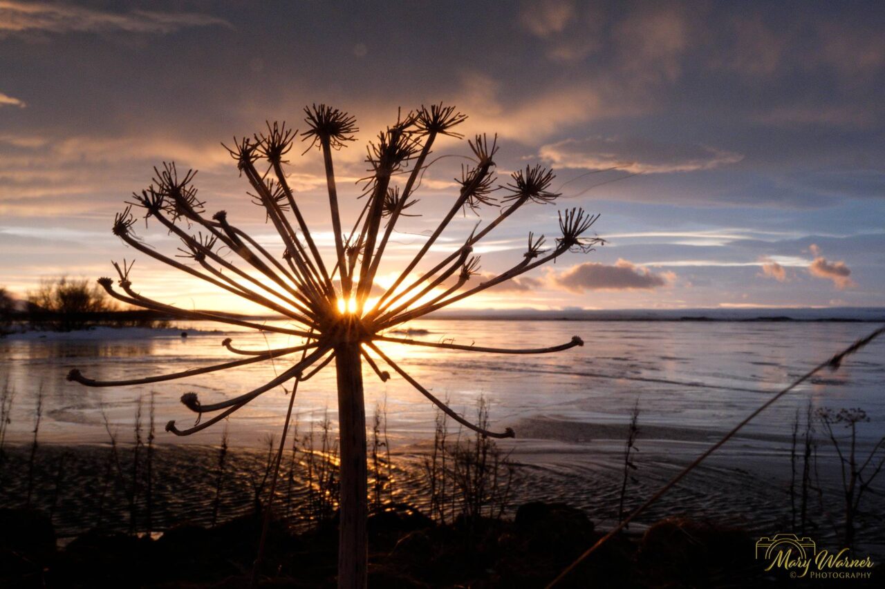 Sunset Lake Myvatn Iceland