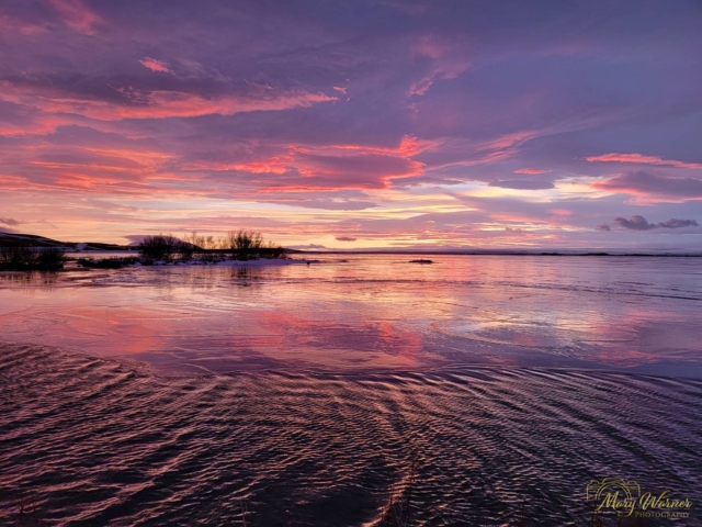 Sunset Lake Myvatn Iceland