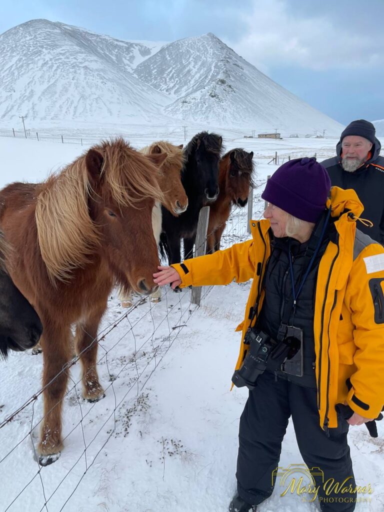 Sn&aelig;fellsnes Peninsula Iceland